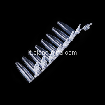 PCR TUBE 8 STRIPS DNase / RNase Free Non pirogenico